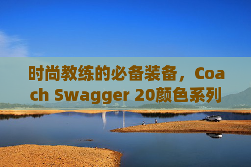 时尚教练的必备装备，Coach Swagger 20颜色系列