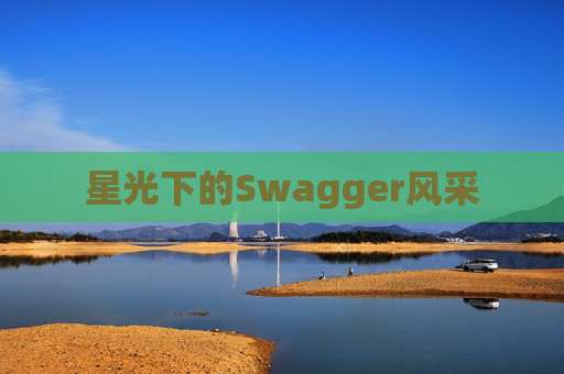 星光下的Swagger风采