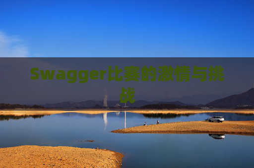 Swagger比赛的激情与挑战